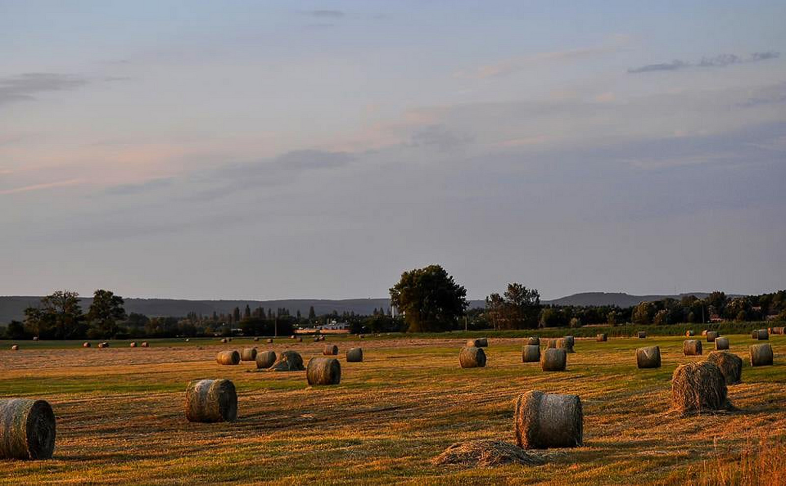 Szénabálák