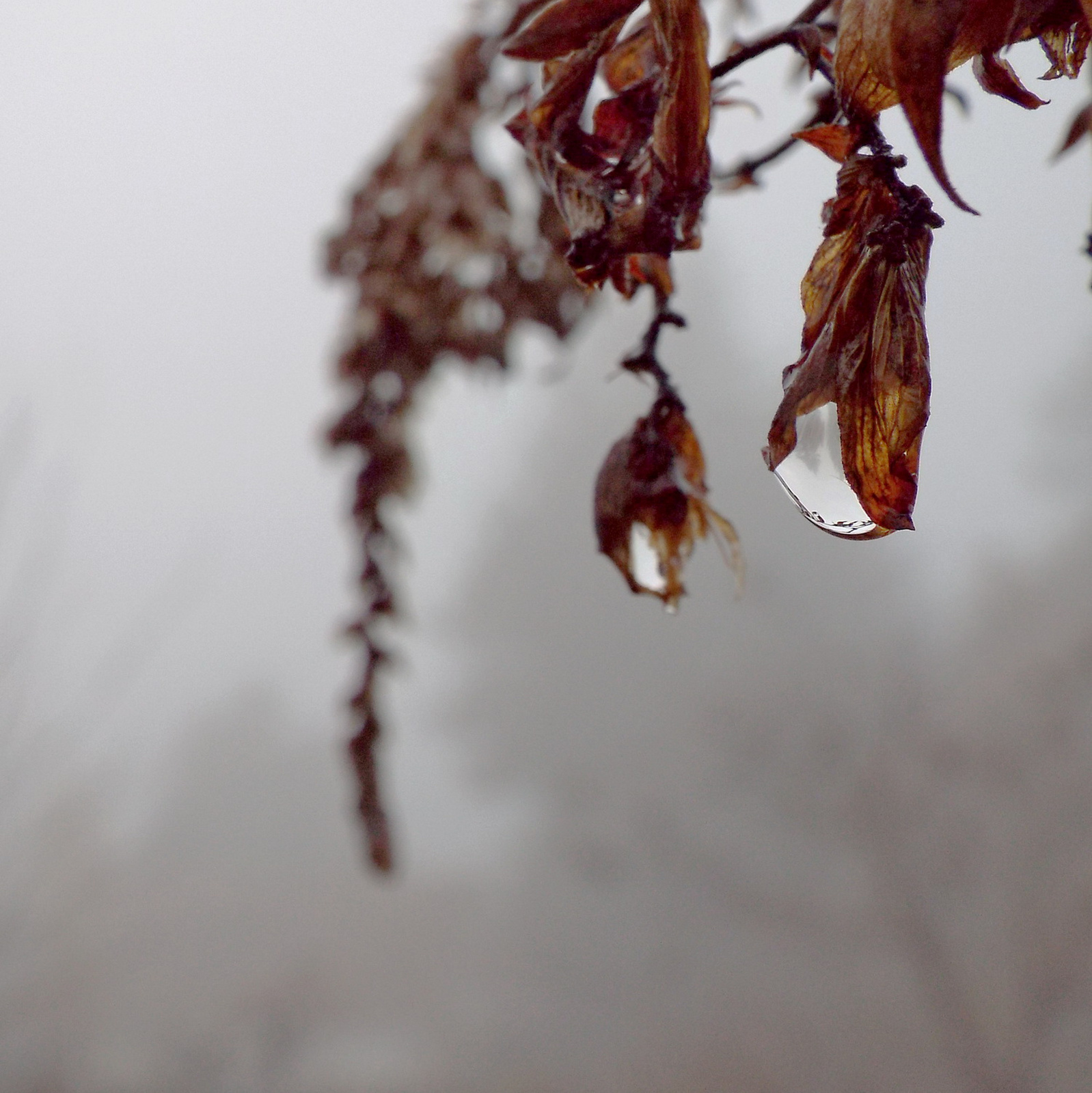 Megjöttek a kora téli ködös reggelek