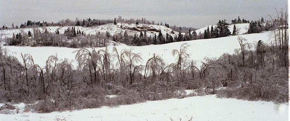 ice-storm-aftermath-cantley-mont-casc-e1456342039311
