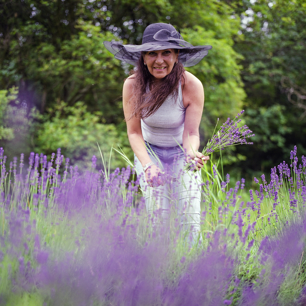 Mom picking lavender - Hasselblad 500C/M Carl Zeiss Planar 80mm 