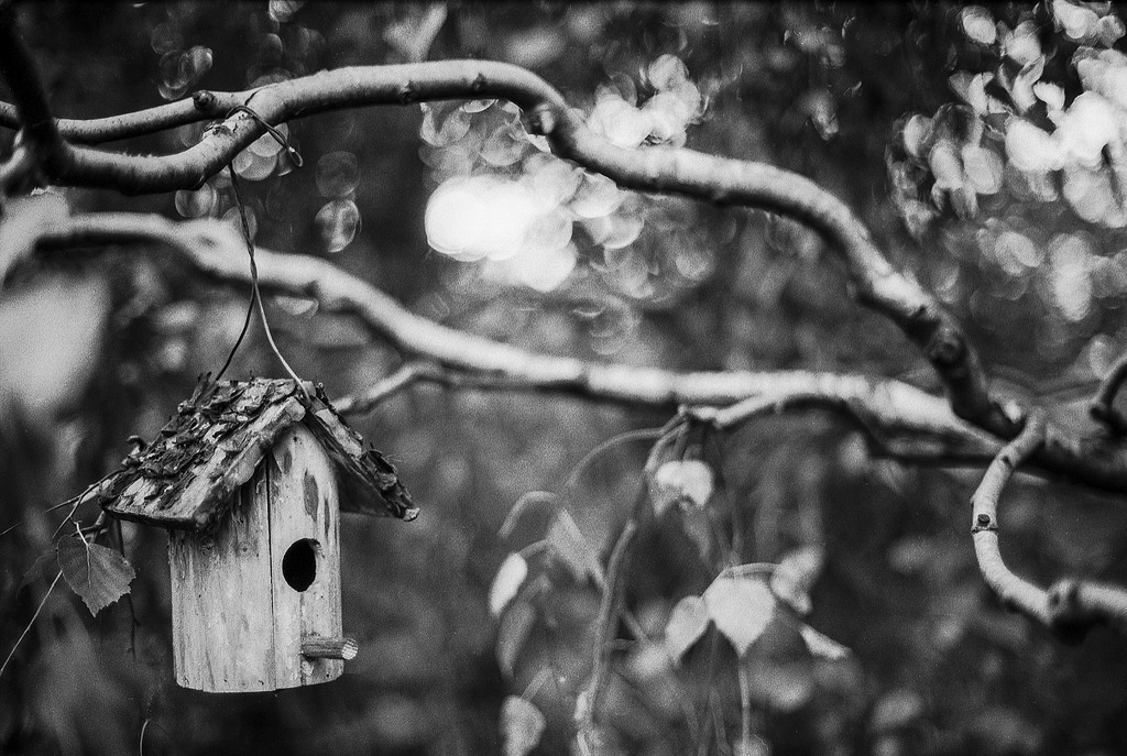 birdhouse / madárház - Canon A-1 Canon nFD 50mm 1.4 Ilford FP4+ 