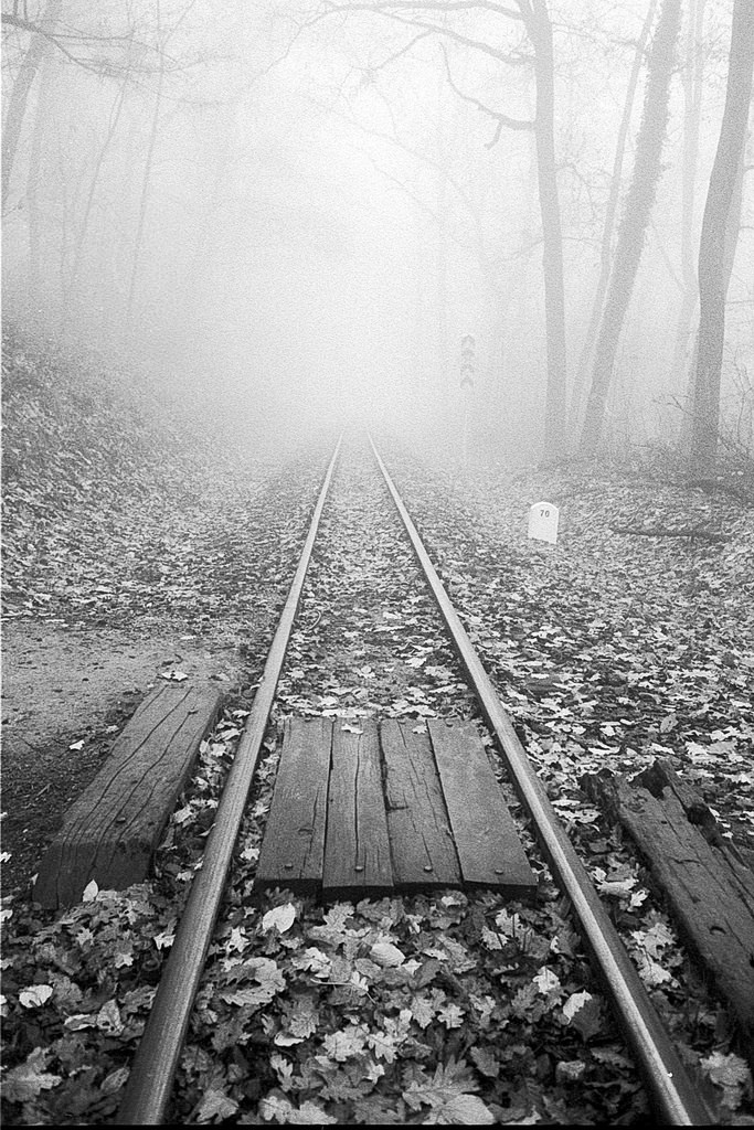 Railroads in fog - Olympus Mju II Ilford HP5 Pushed to 800 devel
