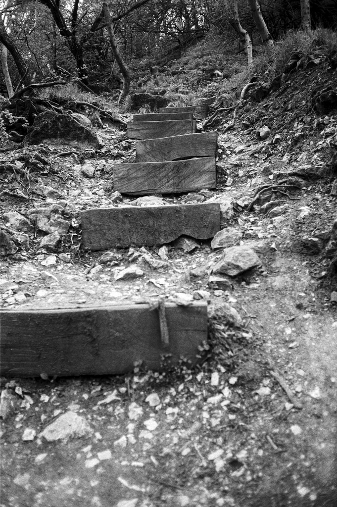 forest stairs - Olympus mju II Ilford Pan 100 developed with LC2
