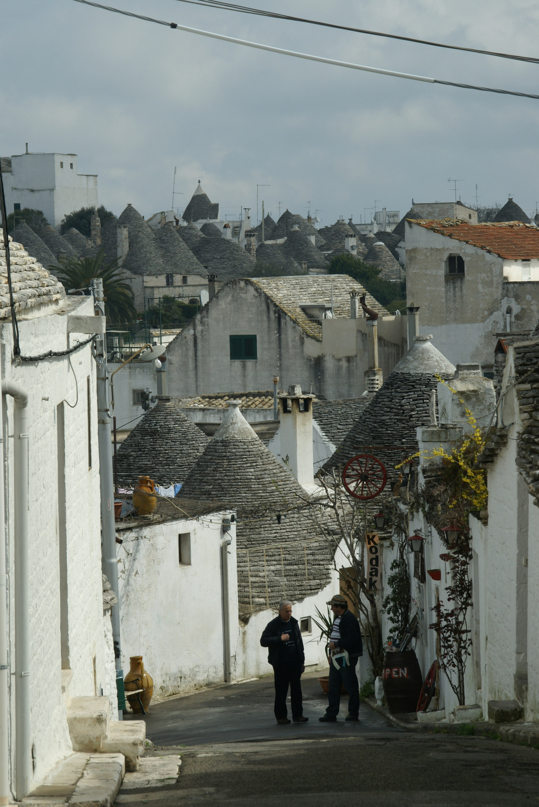 Alberobello, 2008