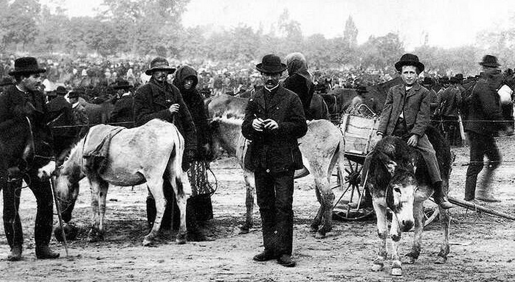 Állatvásár Kecskeméten, 1910-es évek.