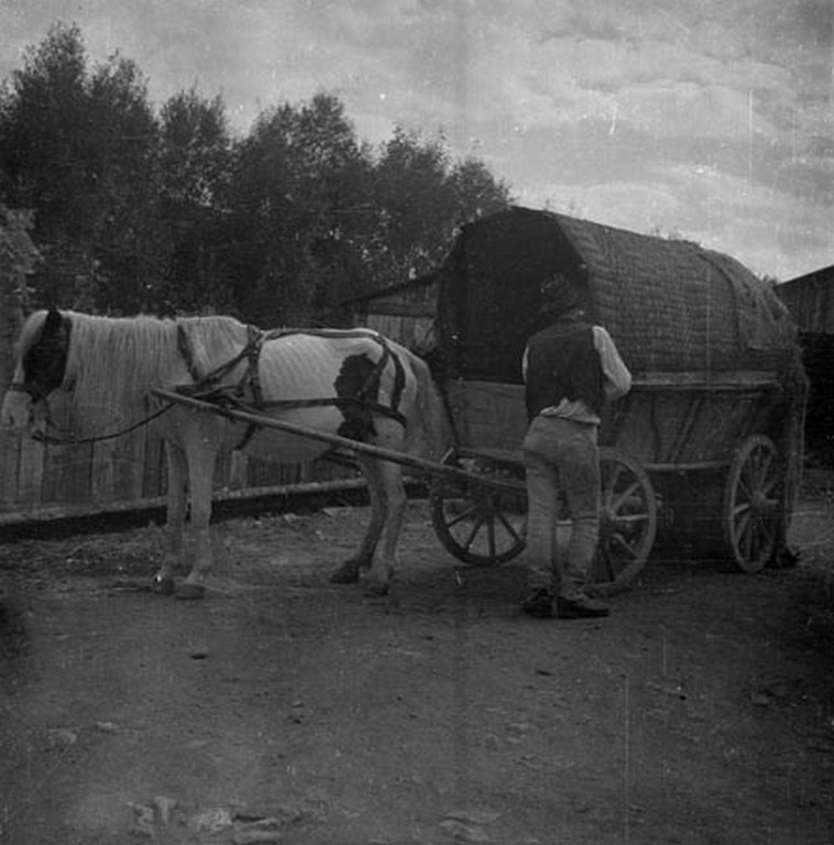 Fazekasok. Csíkmadaras, 1964.6