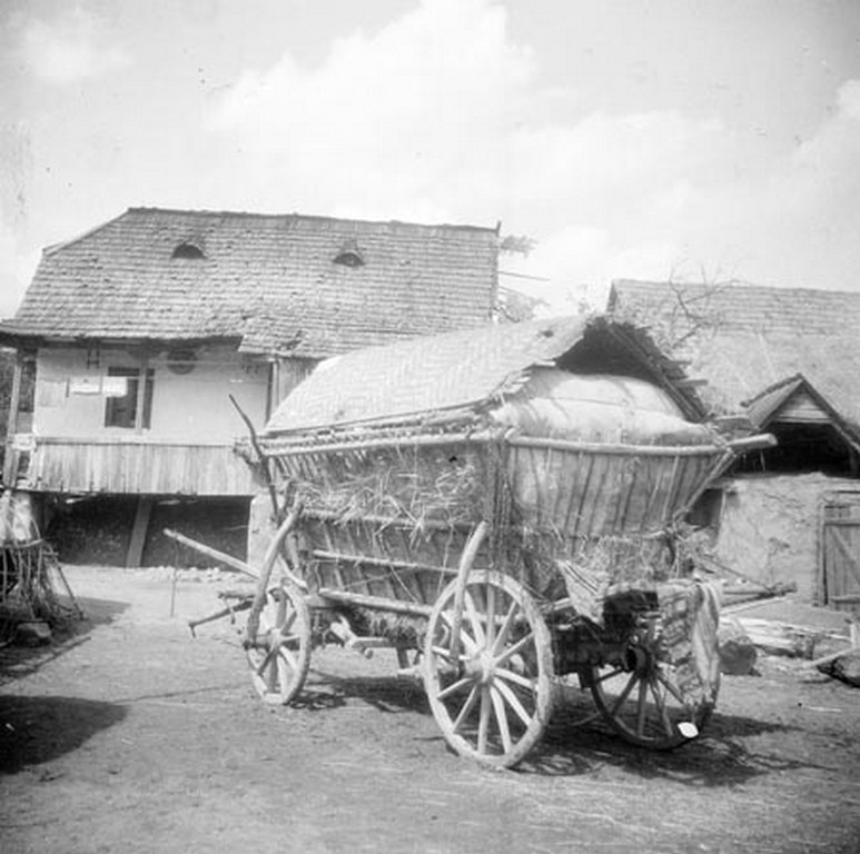 Fazekasok. Jára, 1948.2