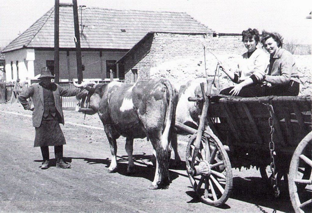 Hazafelé a határból (1964-ben készült felvétel).