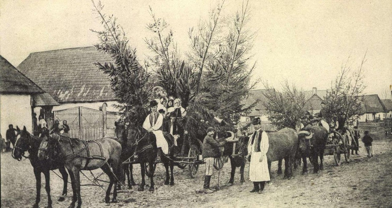 Kalotaszegi lakodalmi csetenyés szekér. 1905.