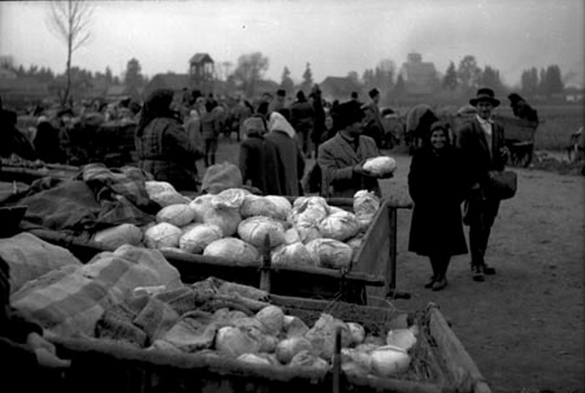 Káposztavásár. Csíkszereda, 1960.