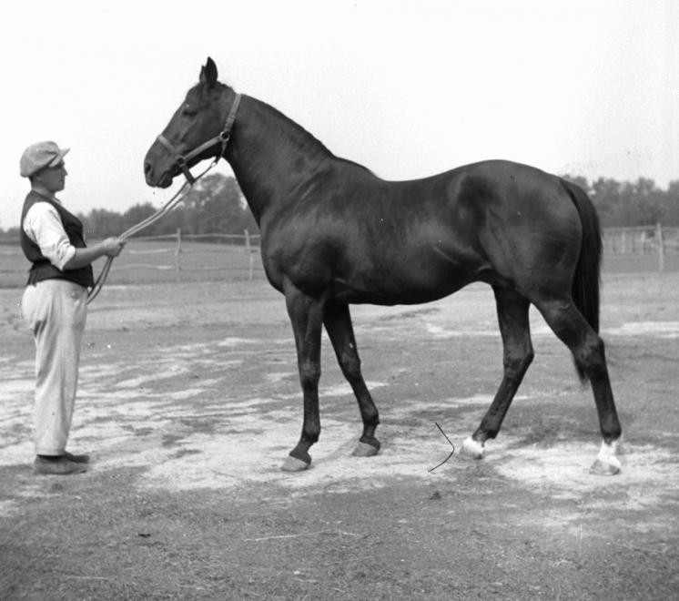 Ló és trénere, 1938.