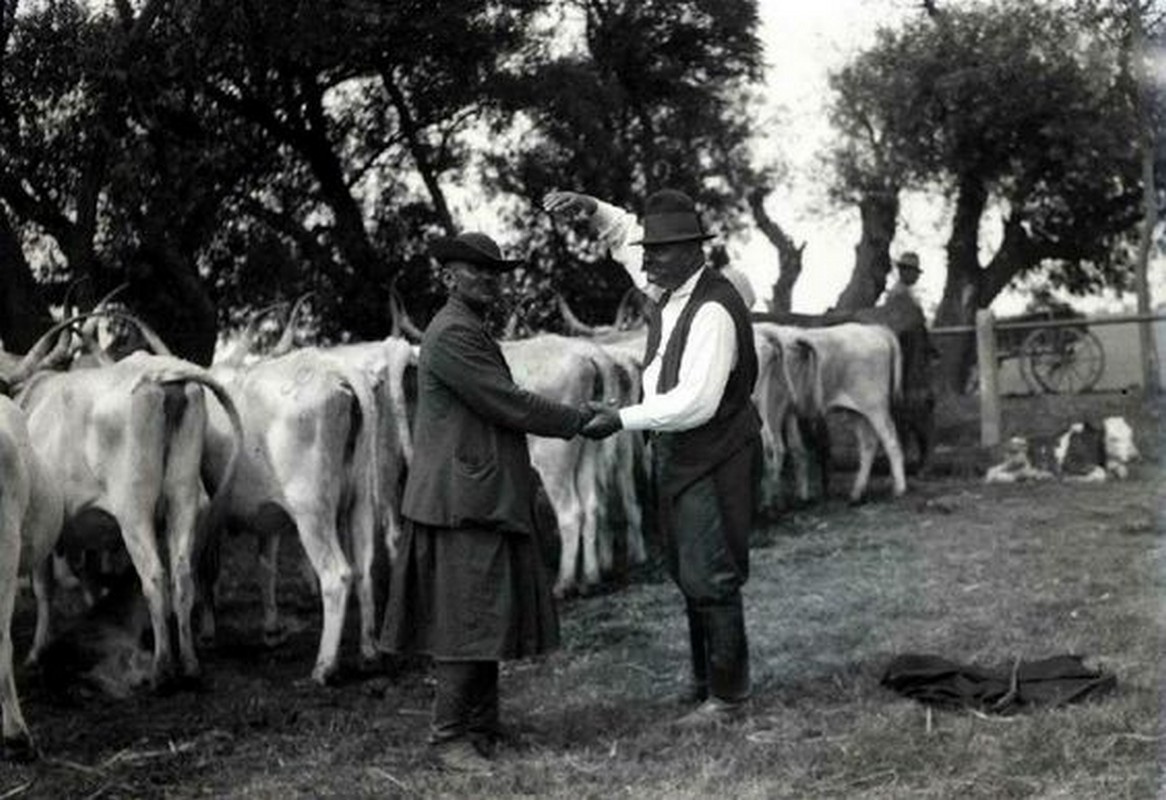 Megköttetett az üzlet.