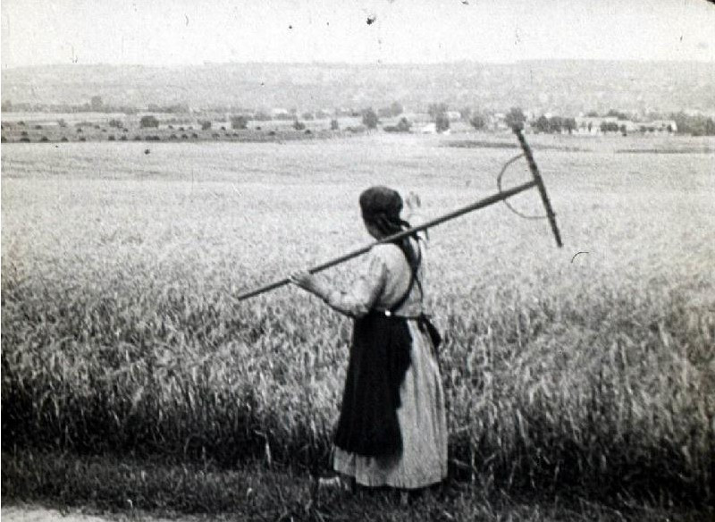 ....hát ezért becsülték régen jobban a kenyeret!!! (14)