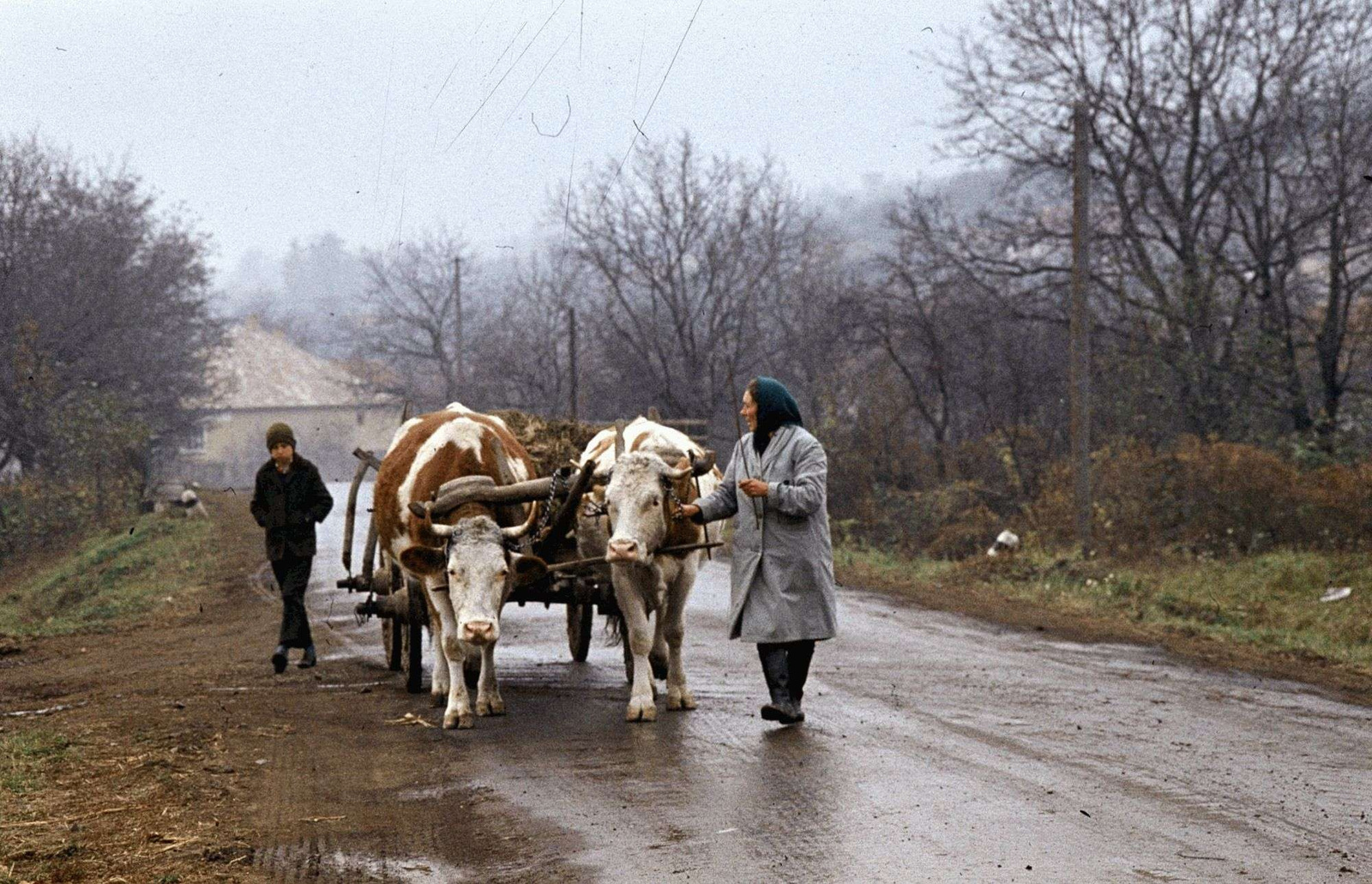 Néhány meseszerű kép a múltból, múltról (184)