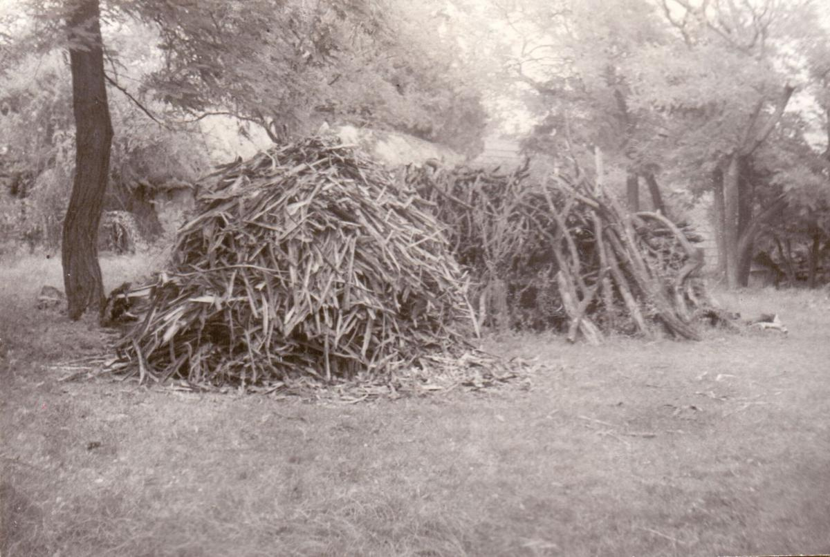 Háncs- és ágfa rakások (tűzrevaló) az udvaron. Kiskunhalas, 1978