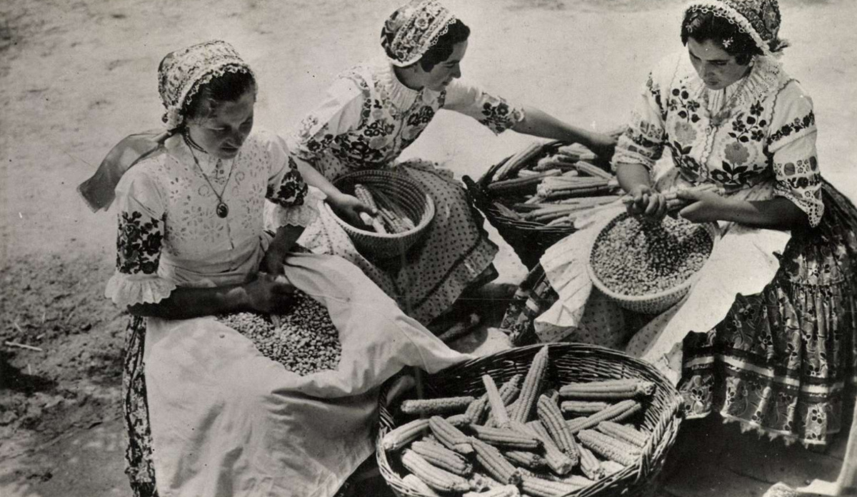 Kukoricát morzsoló kalocsai asszonyok. 1200x696.png