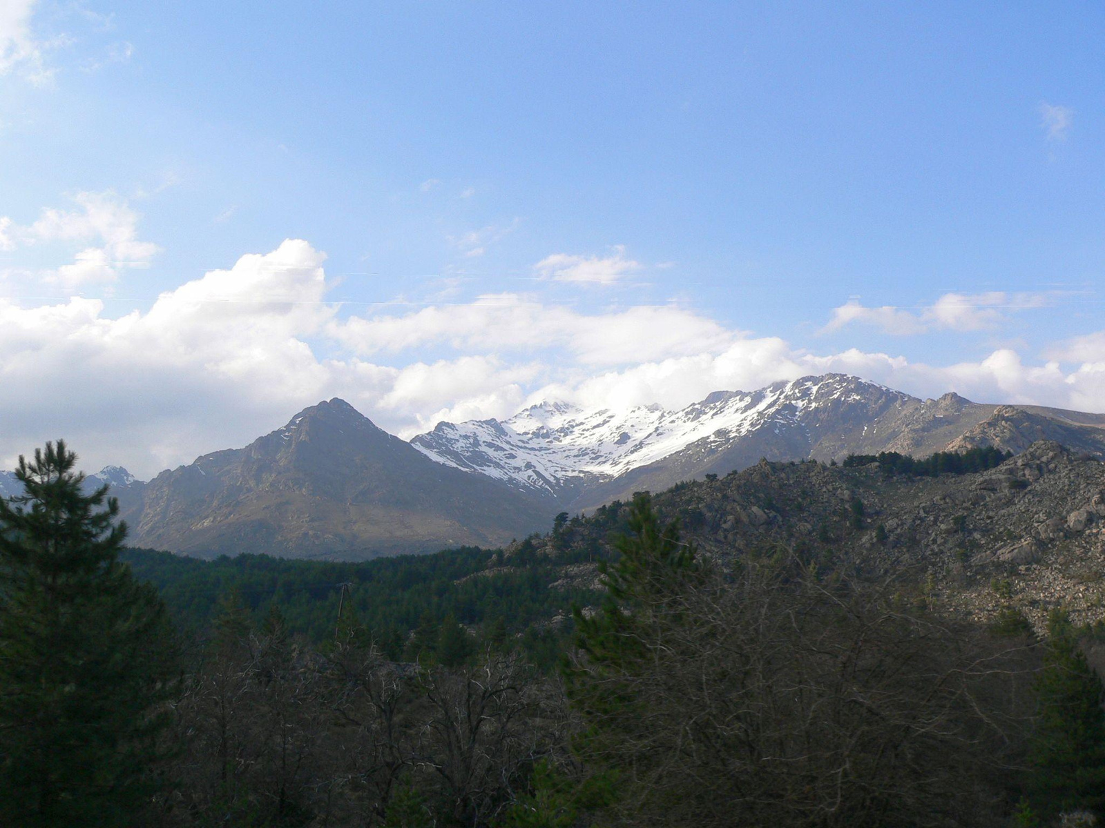 123 - Monte Cinto 2706 m.