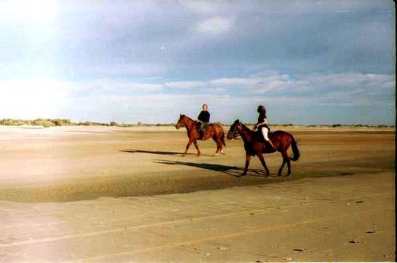 312-Le-Crau-Du-Roi, lovasok a tengerparton