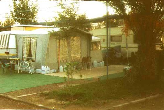 443-Bolnuovo, camping