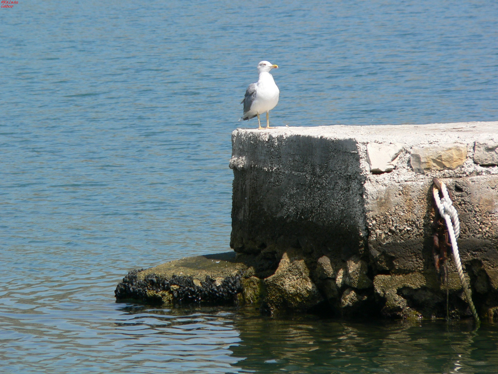 026 - Trogir