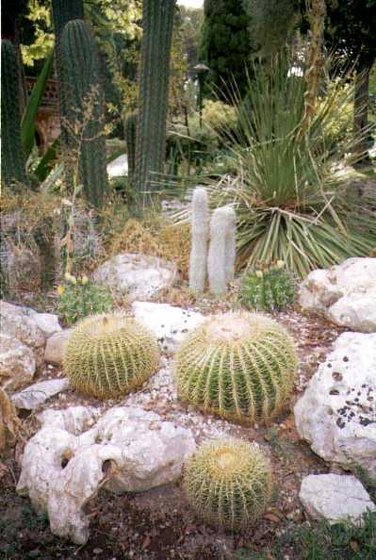 175-Taormina botanikuskert