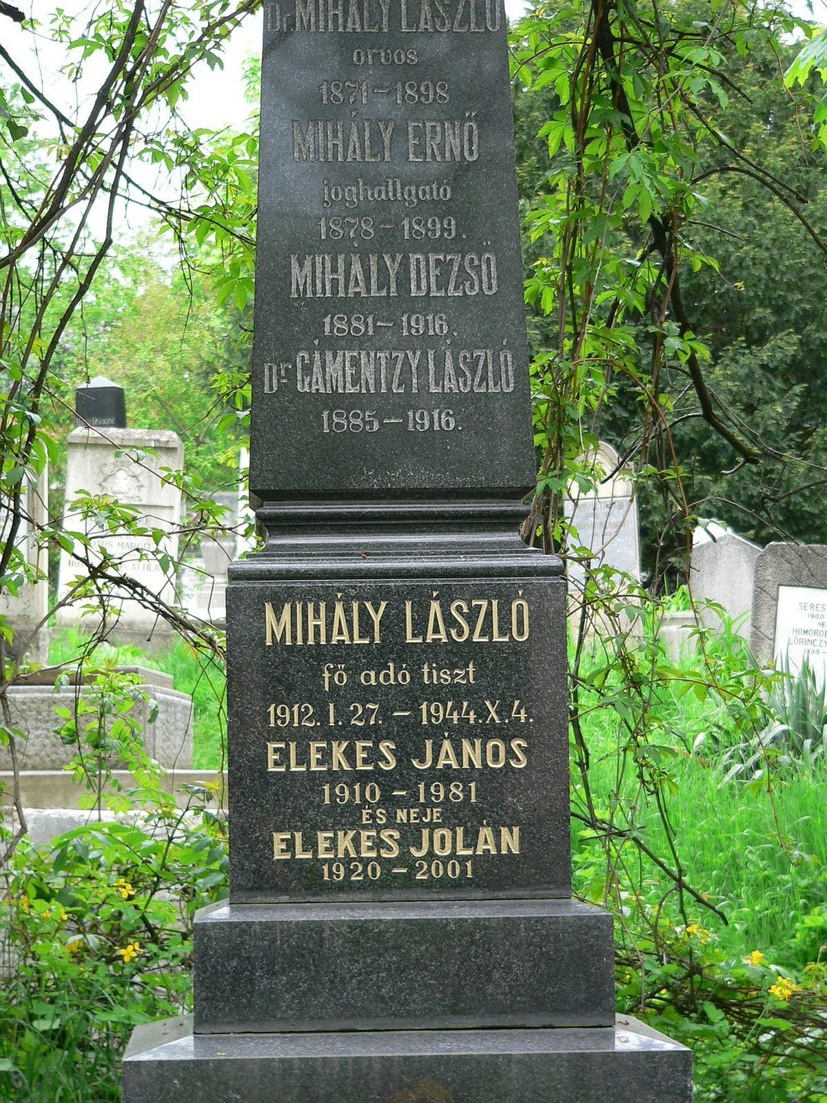 267 - Kolozsvár - Házsongárdi temető