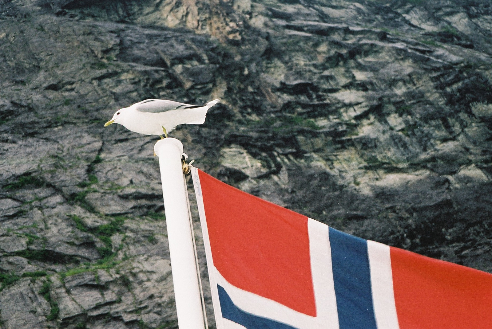 056 - Geirengerfjord