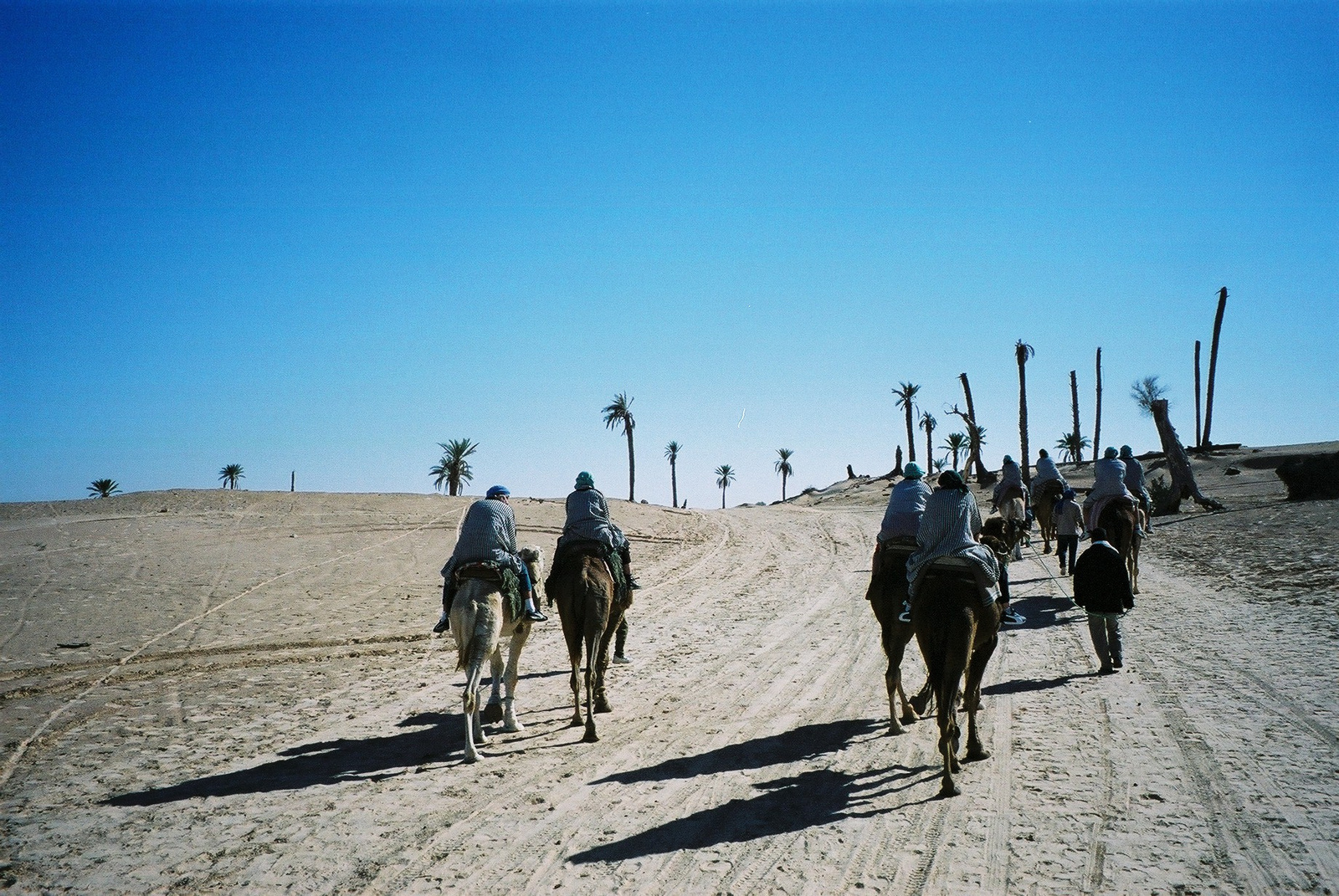 040-DOUZ-Tevegelés a Szaharában