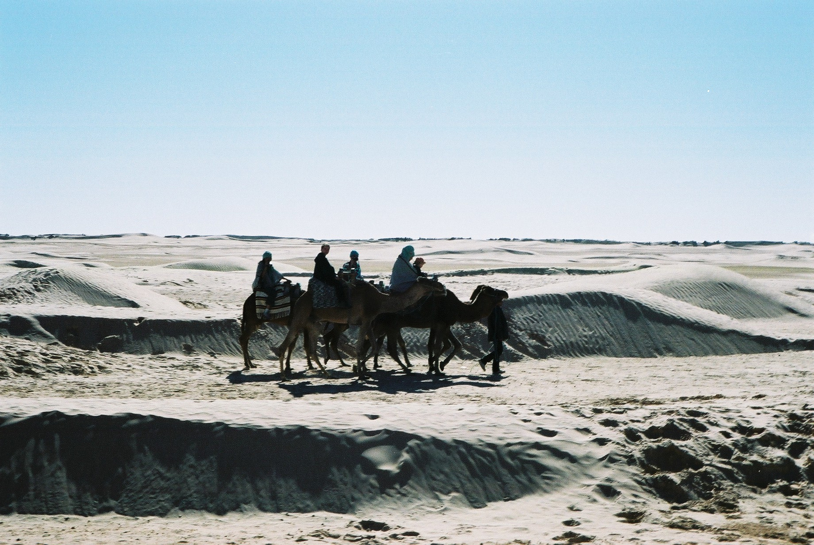 064-DOUZ-Tevegelés a Szaharában