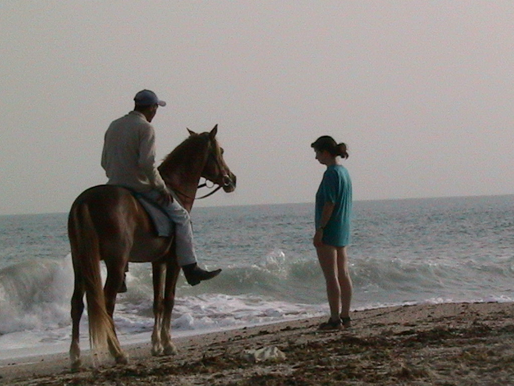 135.DJERBA-Garden Park Beach