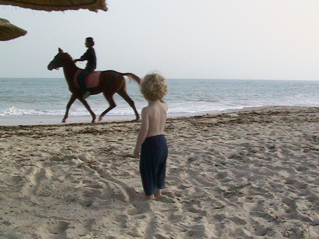 136-DJERBA-Garden Park Beach