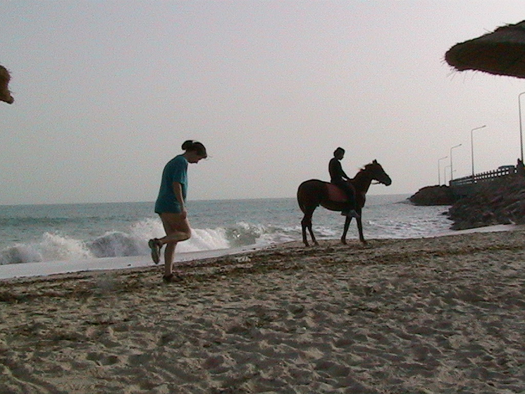 134-DJERBA-Garden Park Beach