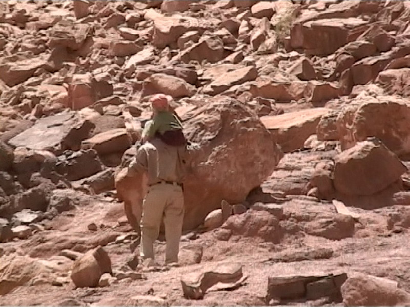 0128 - Wadi Rum -Lawrence-forrás felé