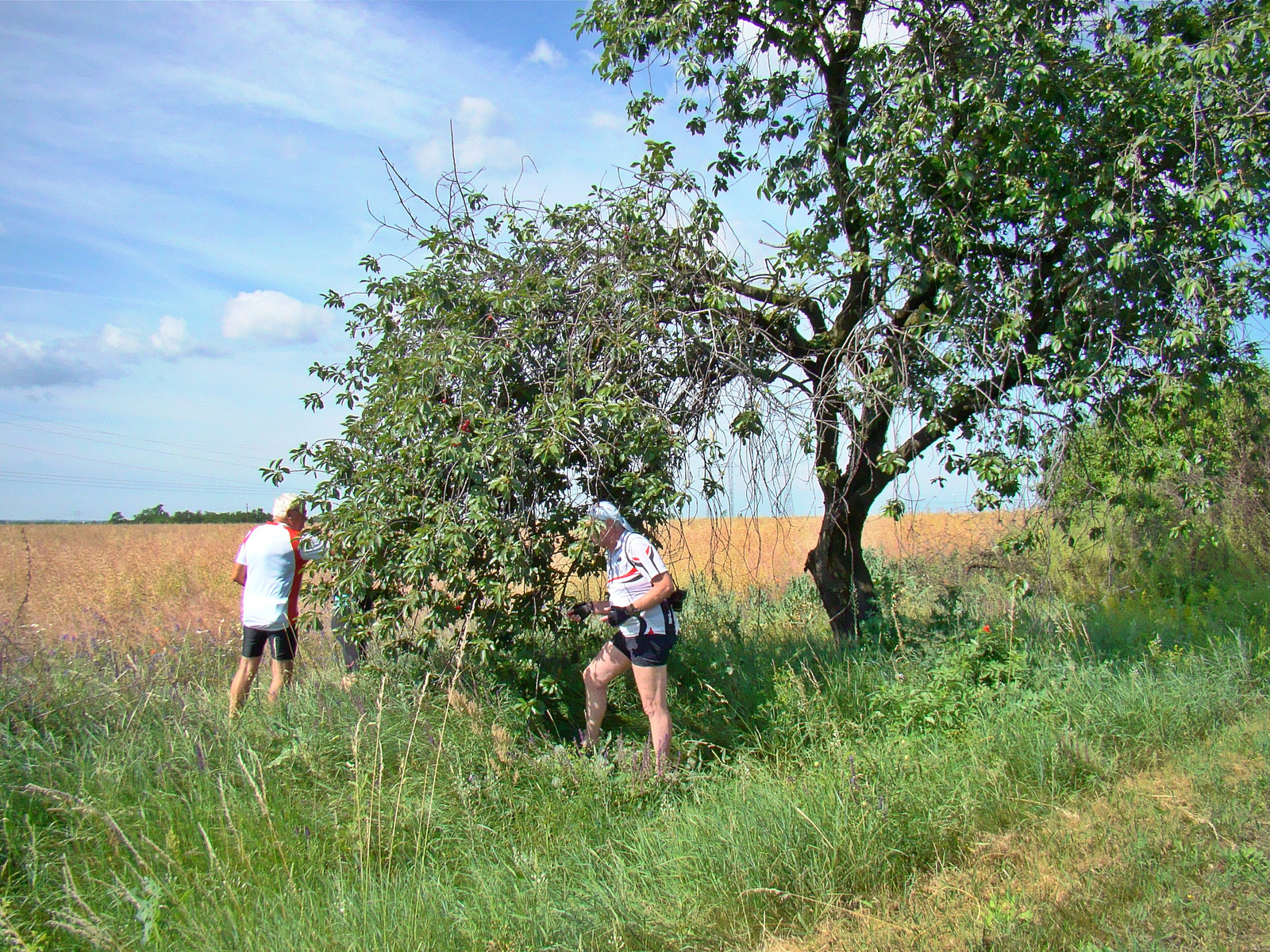 2014 június 14 bringázás a Mátra alján (7)