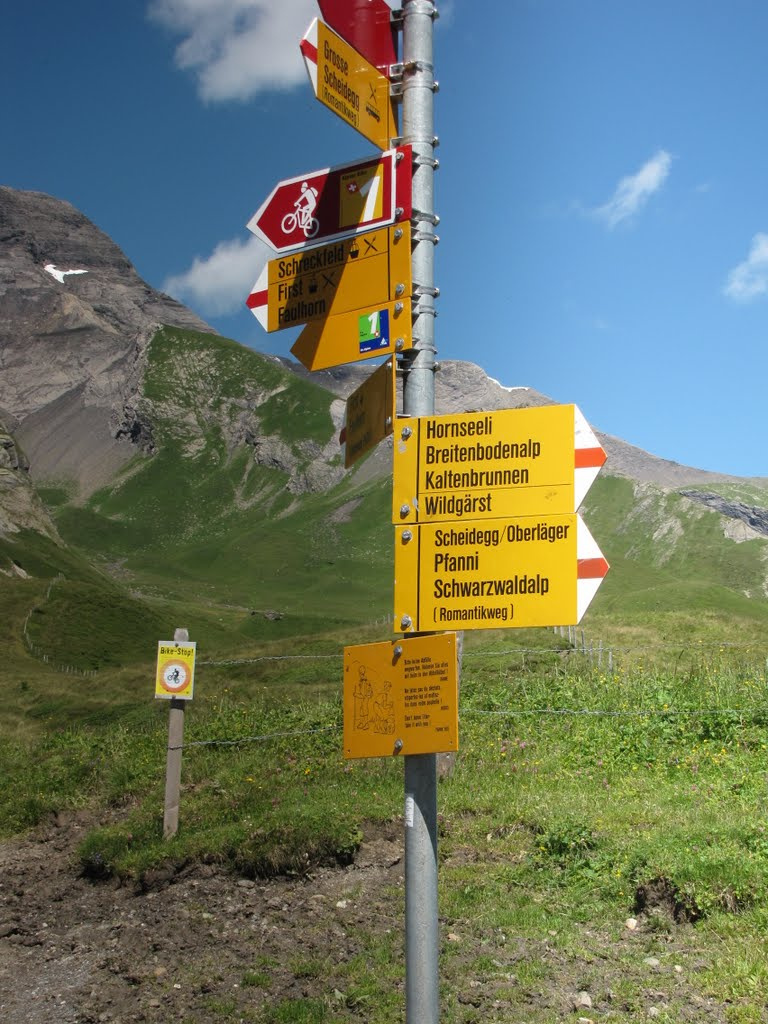 Jungfrau Region, úton Grosse Scheidegg felé, SzG3