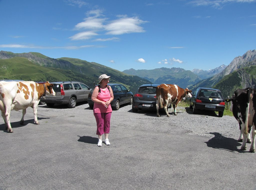 Jungfrau Region, Grosse Scheidegg, SzG3