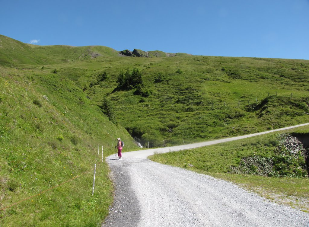 Jungfrau Region, úton Grosse Scheidegg felé, SzG3