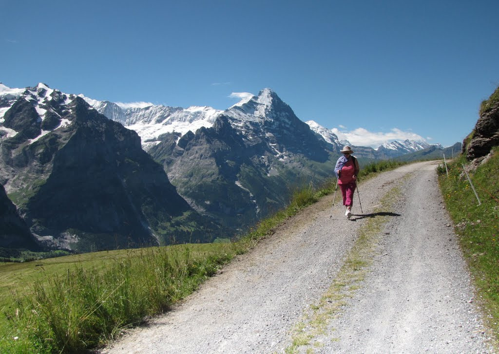 Jungfrau Region, úton Grosse Scheidegg felé, SzG3