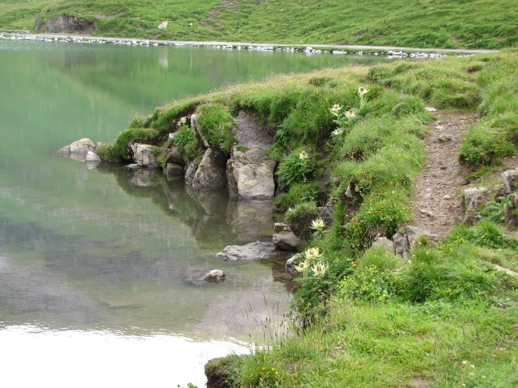 Jungfrau Region, Bachalpsee, SzG3