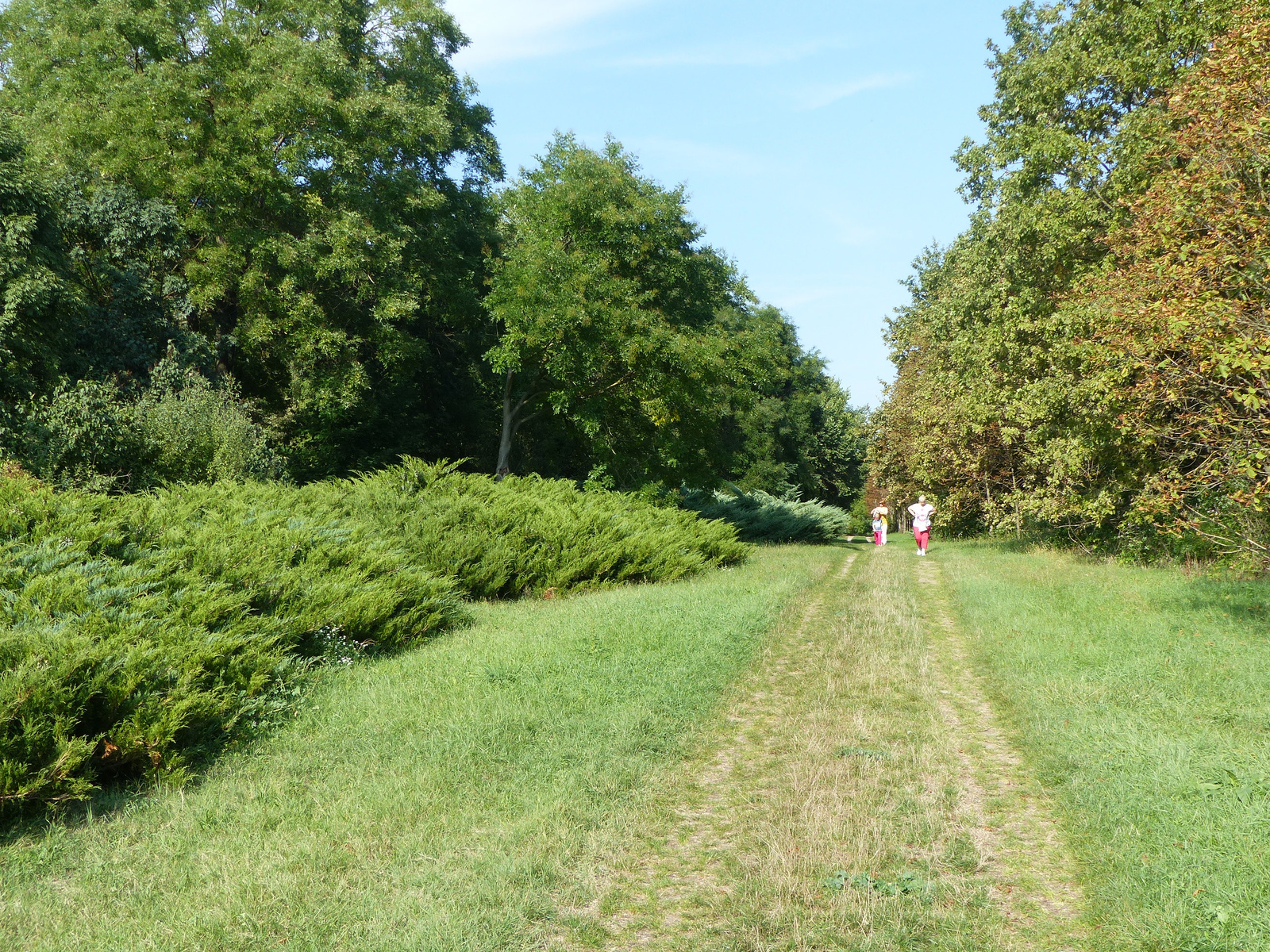 Kecskemét, az Arborétum, SzG3