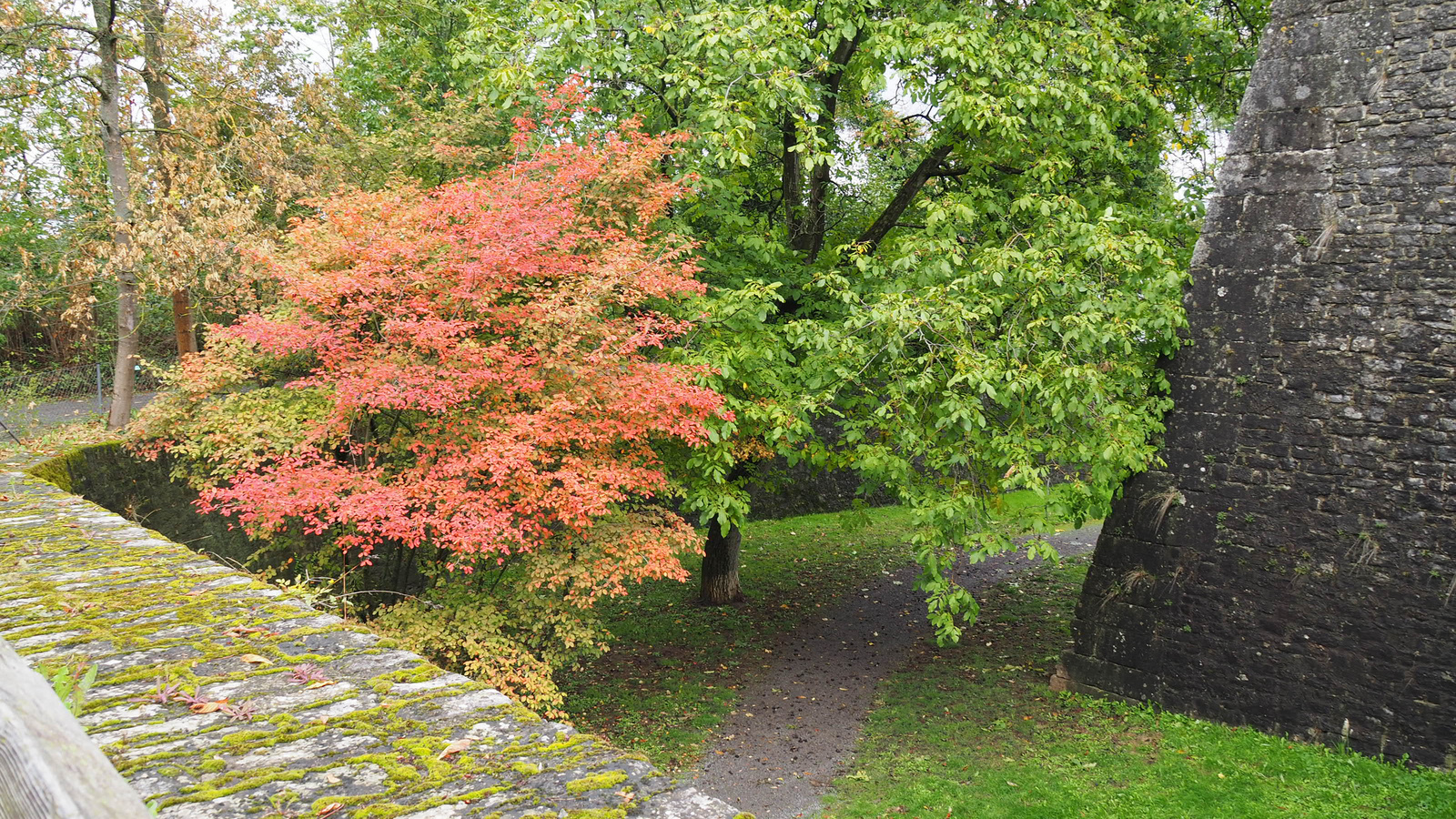 Würzburg, Marienberg, park, SzG3