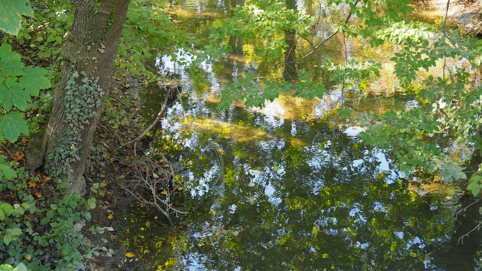 Ausztria, Laxenburg, SzG3