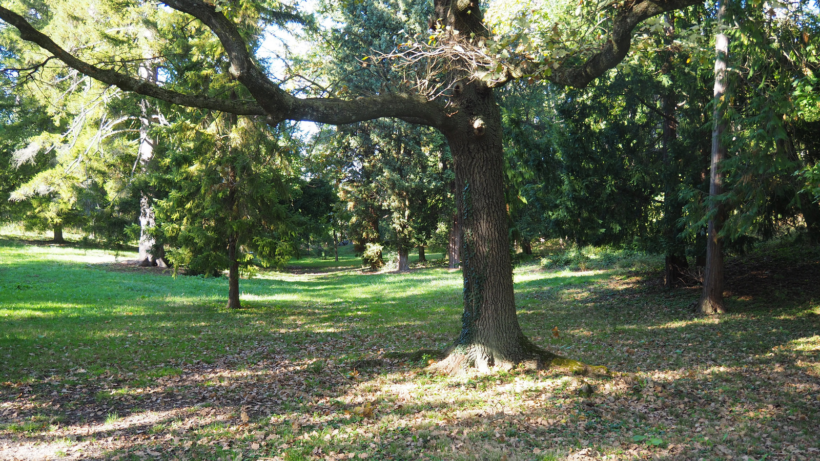 Ausztria, Laxenburg, SzG3