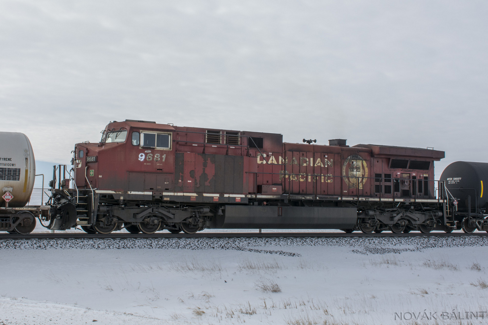 CP 9681