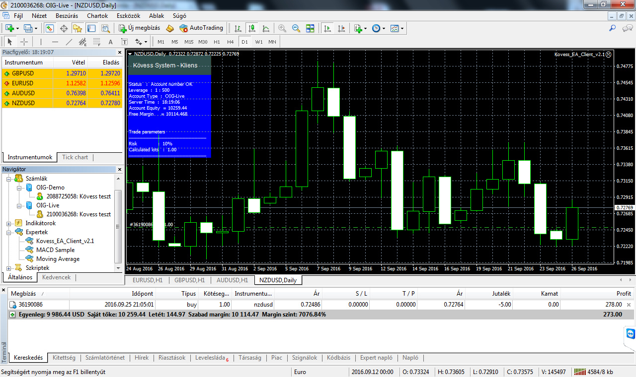 0055 - NZDUSD - KEZDŐ EGYENLEG: 9 986 USD