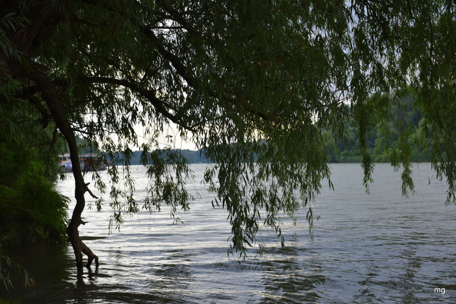 Élő Tisza, ez nem a tó