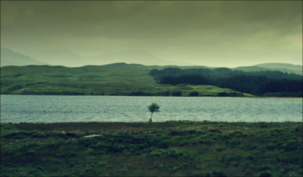 Tree With Loch