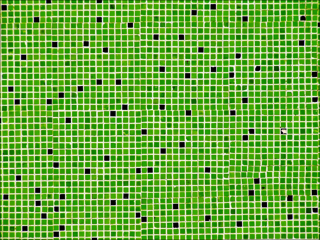 Green And Black Squares