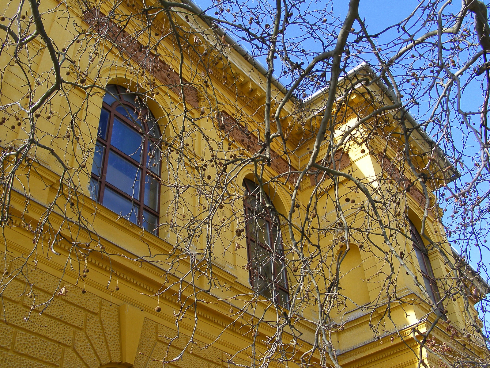 Wosinsky Mór múzeum