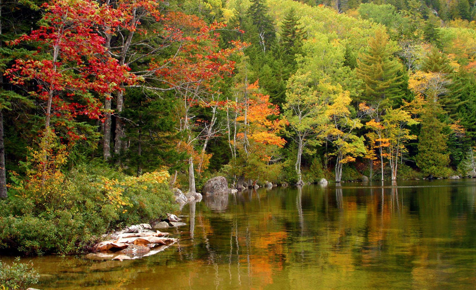 Autumn - Reflection